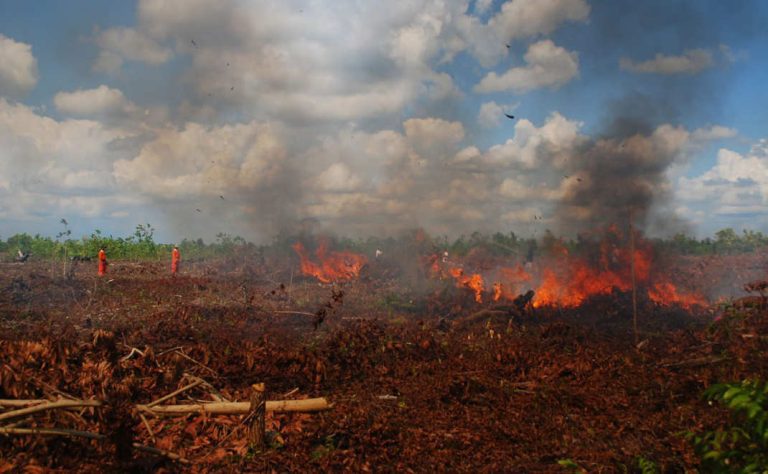 Pengendalian Kebakaran Lahan