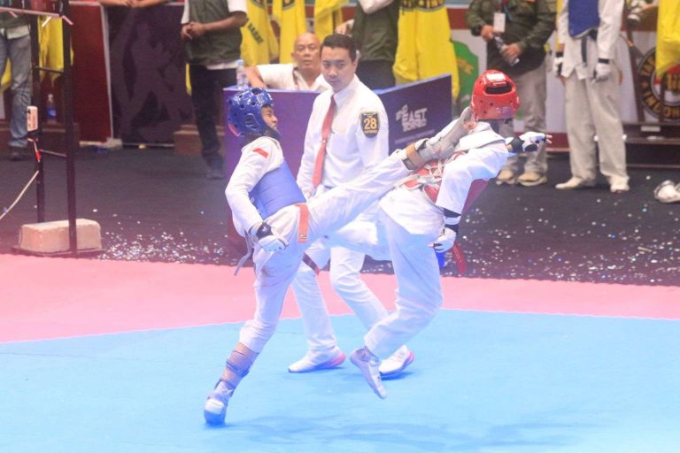 Taekwondo Championship