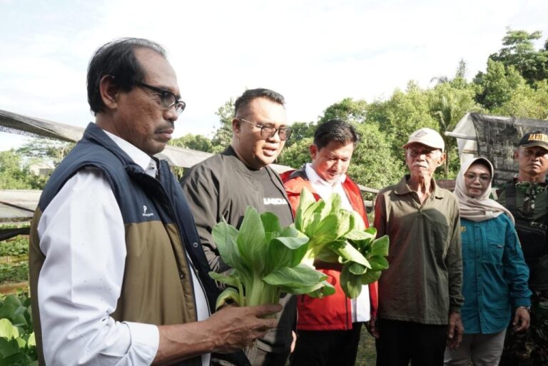 Bupati Kukar Panen Sayur Bersama Kelompok Tani Maluhu, Dorong Infrastruktur Pertanian dan Bantuan Tepat Sasaran
