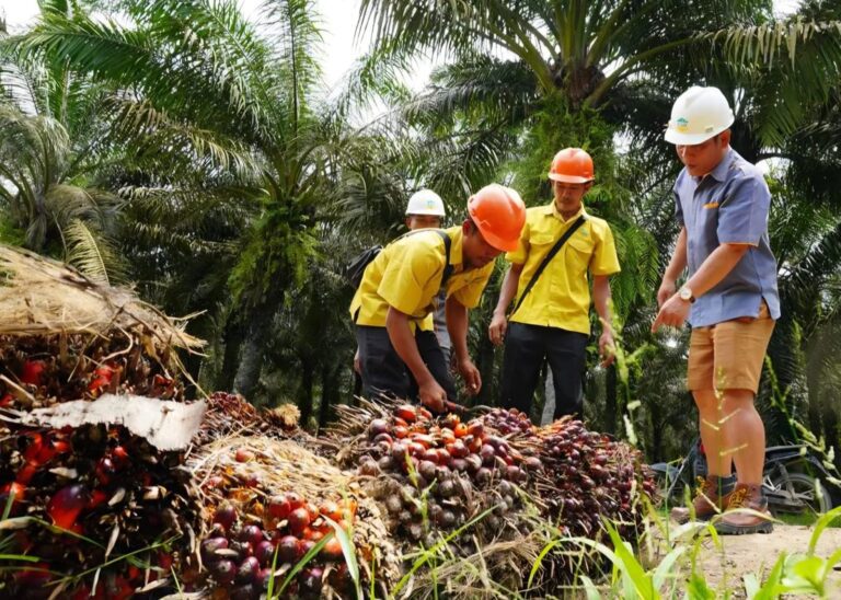 DISHUT Kaltim Larang Mutlak Sawit di Hutan Kelola Masyarakat