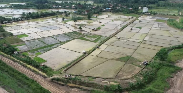 Lahan Eks Tambang Kaltim Diubah Jadi Sawah, Dukung Swasembada