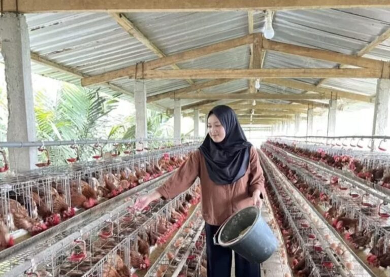 Pabrik Pakan Ternak Jospol Siap Dibangun, Pemprov Kaltim Genjot Kemandirian Pasokan Peternak
