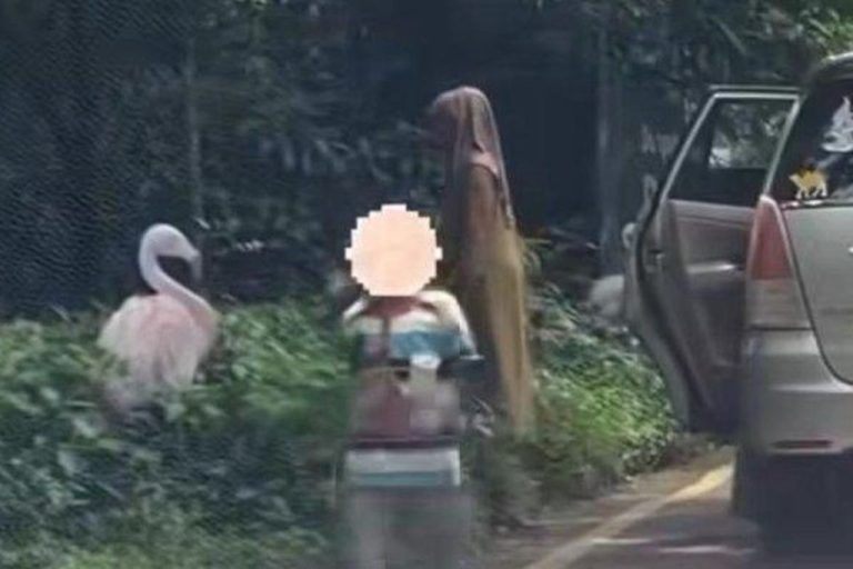 Taman Safari Blacklist Satu Keluarga