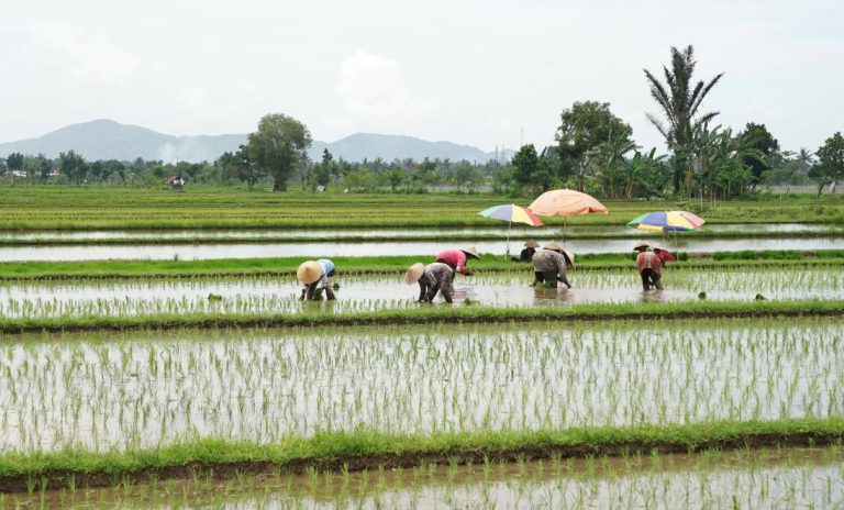 Nilai Tukar Petani