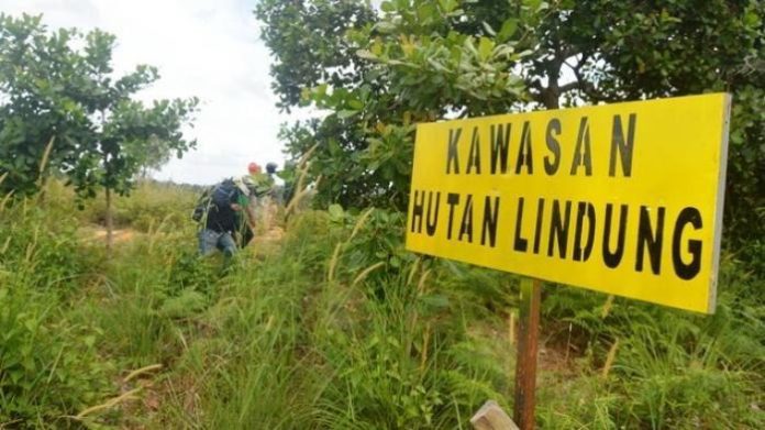 Hutan Lindung Bontang