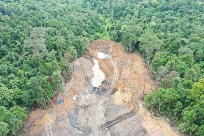 Hutan Pendidikan Unmul
