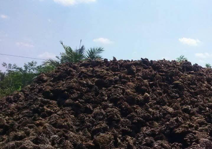 Kaltim Siapkan Energi Terbarukan sebagai Poros Ekonomi Hijau Masa Depan